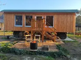 Bauwagen am Waldrand