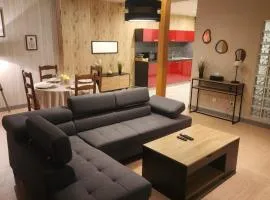 Appartement 100m2 entre lacs et montagnes