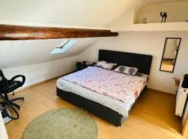 Dudelange City Centre Loft - 2 Furnished Rooms