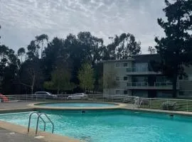 Modern apartment with pool, terrace and grill