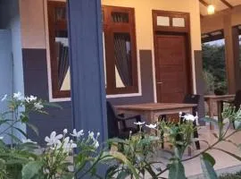 Wild Night Hostel Sigiriya