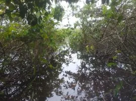 Ibira Camping