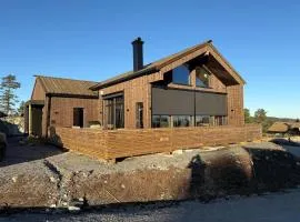 New large cabin for rent at Rytterspranget!