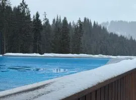 Chalet Velvet by Fomich