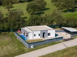 Beautiful Villa Rhapsody with pool in Buzet