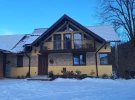 Pensiunea Casa Fierarul din Bucovina, hotel in Vatra Moldoviţei