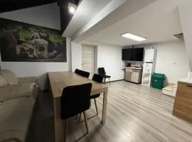 Casa Lupilor 2 Vidraru