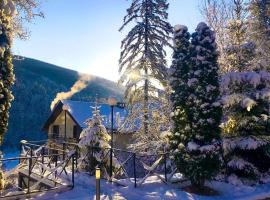 VitaPark Carpaty, отель в Ждениеве