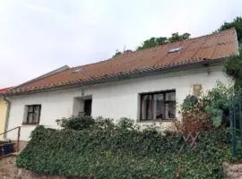 Jamajka na Vinohradské