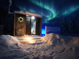 Aurora Igloo Village Ylläs Nox Suite - Hot Tub、ユッラスヤルヴィのホテル