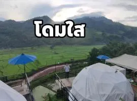 เวนิสบ้านเวร โดมใส