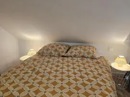 Le Ptit nid Cocon au cœur du centre ville