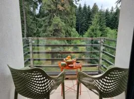Private Studio Pine Whisper 4 pax in Euphoria Club