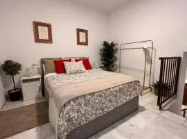 Duplex céntrico San Isidoro