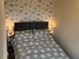 Room in Glasgow 20 mins away from city