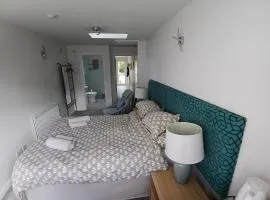 Ensuite Room with Private Entrance