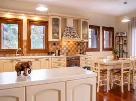 Villa Ilianna Portaria Pelion