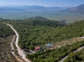 Country house Maslina by Villas Guide