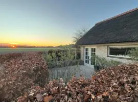 Tulipa - Near the Beach & Tulip Fields