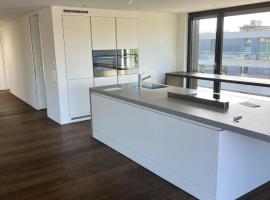 Penthouse mit Whirlpool & Riesenterrasse, Hotel in Zürich
