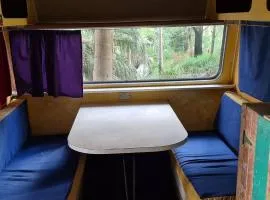 Forest Gypsy Tiny Home