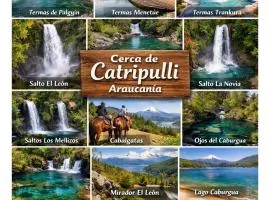 Relajo en plena naturaleza