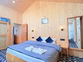 Dreamwoodtreecottagejibhi