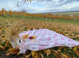 Somlói Provence, Hotel in Doba