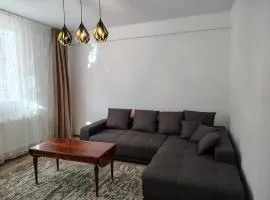 Central Apartment near Piatra Singuratică - Bălan