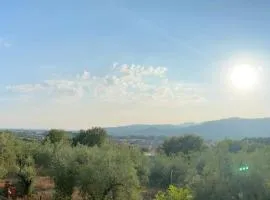 La Collina Degli Ulivi