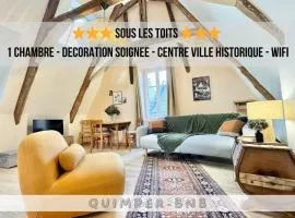 Sous les toits - charmant T2 en plein centre-ville