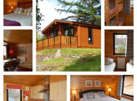 Woodland Oak Log Cabin, by Meall nan Tarmachan – hotel w mieście Killin
