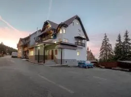 Vila Frații Jderi Straja