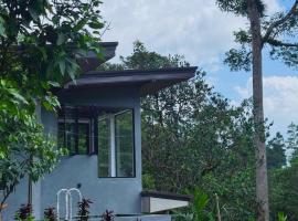 Rainforest cabin, hotel en Deniyaya