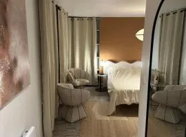 Cosy appartement en plein coeur de Troyes