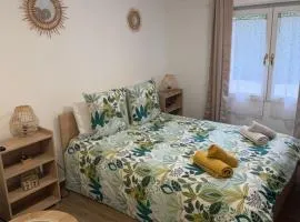 Charmant T1 au calme