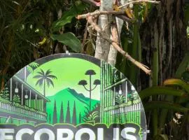 cabaña grande ecopolis hospedaje