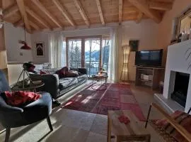 Modernes Chalet mit Terrasse und Parkplatz in den Alpen