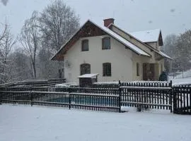 Holiday Villa Javornik