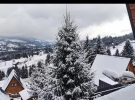 Lake Retreat Colibita