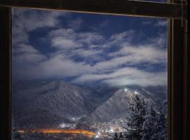 Hotel forest echo, hotel in Borjomi