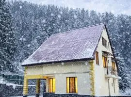 Hidden Forest Cottage