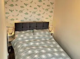 Room in Glasgow 20 mins away from city