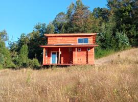 Tiny house Chucao, căn nh&agrave; nhỏ ở La Uni&oacute;n