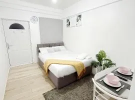 Stylish 2-Guest Studio with Netflix, Prime - FREE WIFI & FREE PARKING - Aroluchi Ville