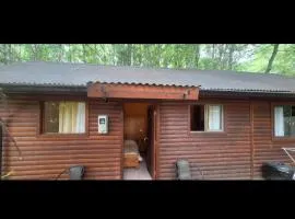 CABAÑA ruta Villarrica-pucon 1