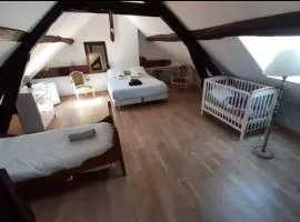 Maison avec cour et jardin