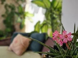 Casa Ponta de Campina