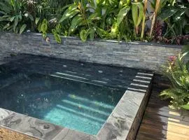 Location l'îlot tropical