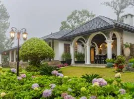 Garfield Bungalow by TONIK